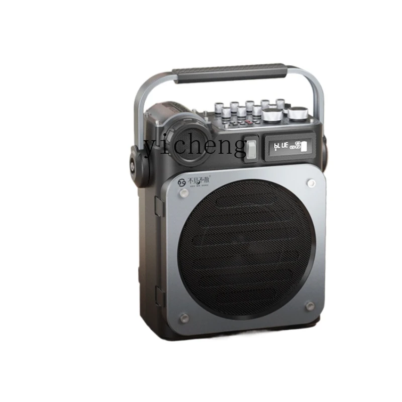 D6 High-Power Live Broadcast M - Speakers review and price