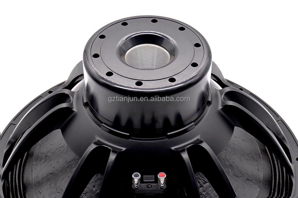 21'' Professional Audio System - Speakers review and price