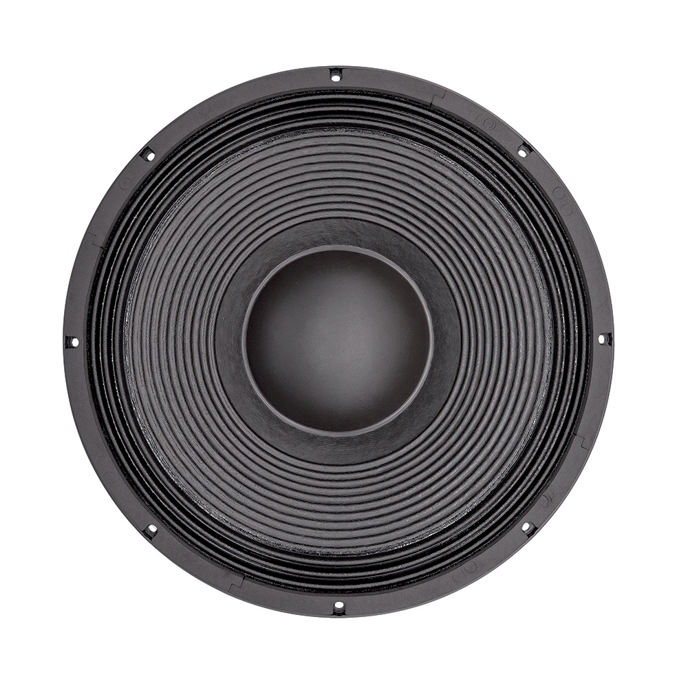 21'' Professional Audio System - Speakers review and price