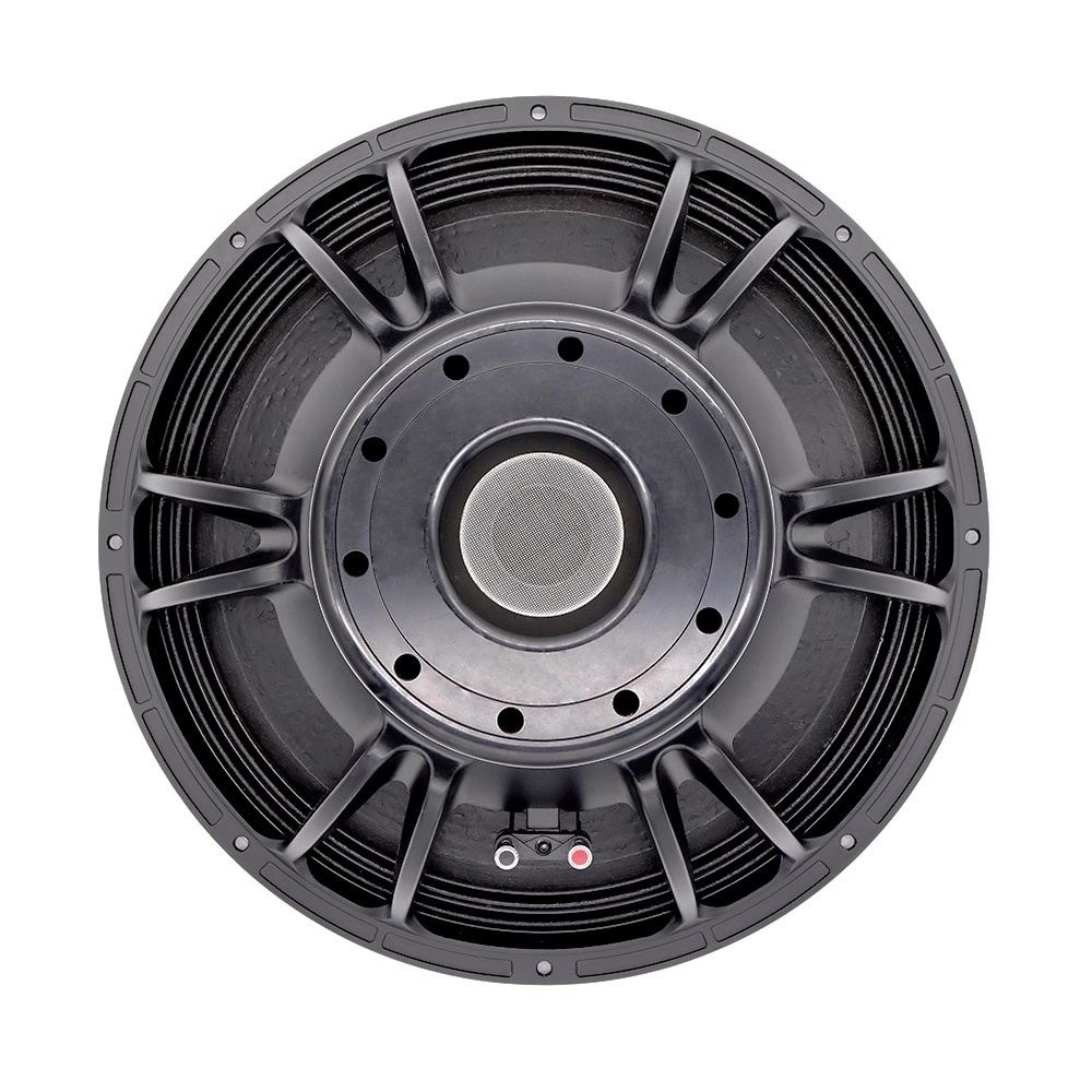 21'' Professional Audio System - Speakers review and price