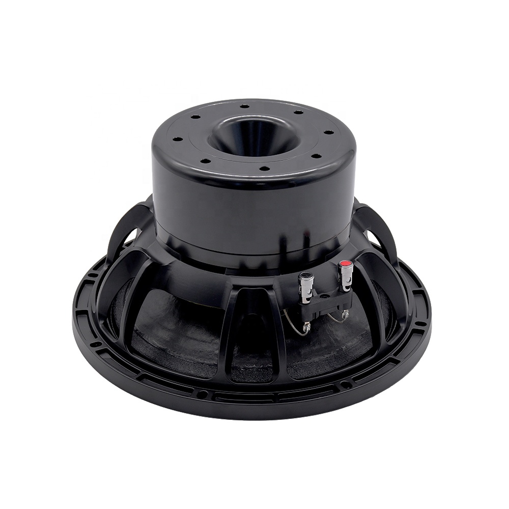 12DS Pro Audio Equipment 12''  - Speakers review and price