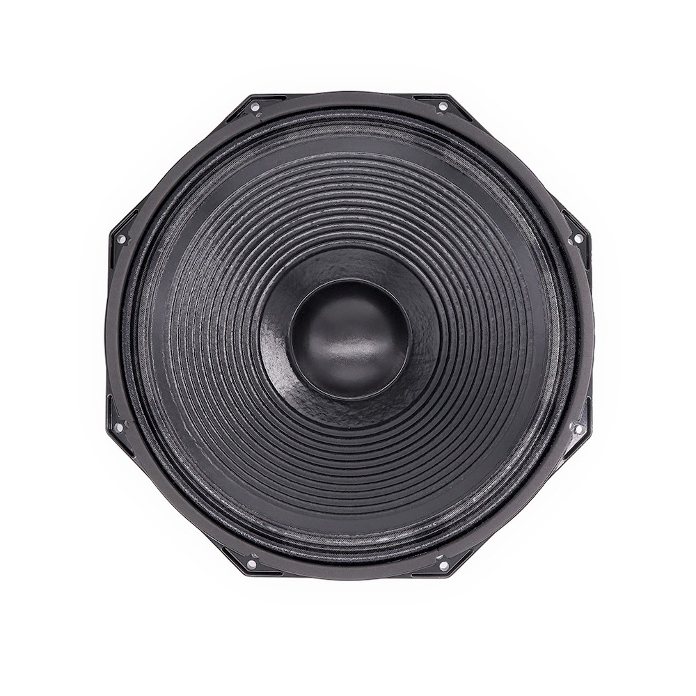 Professional Audio 600W 15 Inc - Speakers review and price