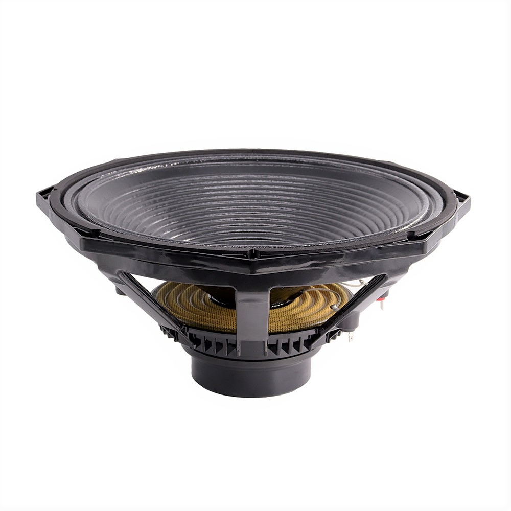 Professional Audio 600W 15 Inc - Speakers review and price